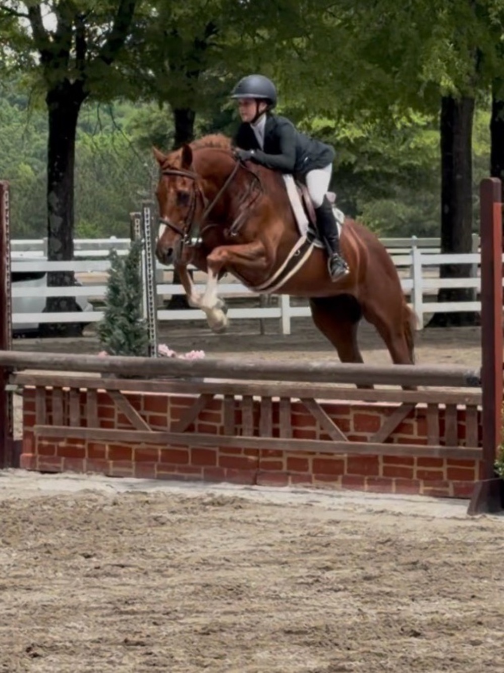 ISO ✨EQUESTRIAN APPAREL - TACK✨